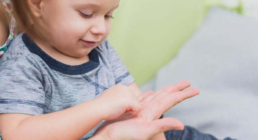 A taktilis érzékelés, avagy az érintés ereje