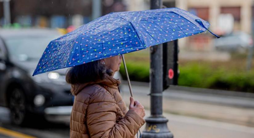 Csillag, város vagy esernyő – sokat elárul rólad, hogy mit veszel észre először