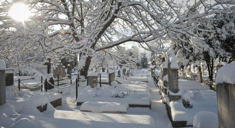 Aki fittyet hány a határidőre, lehet, hogy bottal ütheti elhunyt rokona nyomát a temetőben