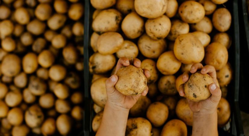 Lehet, hogy rákkeltő? Ez történik a testeddel, ha minden nap eszel krumplit