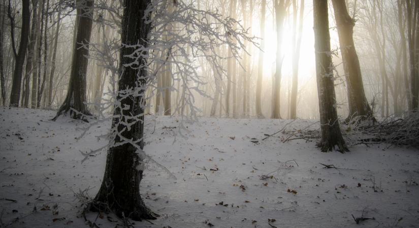 Időjárás 2026. január 24.: Ma ködös reggel, napos, de szeles délután vár ránk