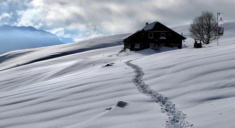 Valódiak ezek a téli fotók, vagy mesterséges intelligencia készítette őket? Kvíz