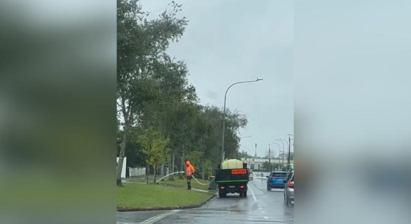 Napok óta szakadó esőben locsoltatott fákat az önkormányzat Új-Zélandon