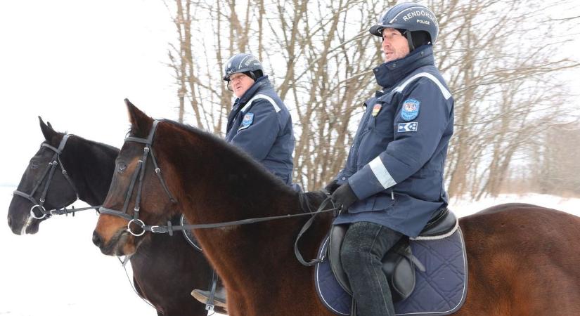 Döbbenetes menekülés: lovas rendőrt gázolt, felgyújtotta az autóját és hazament