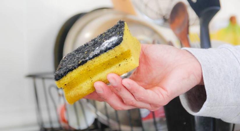 Ilyen sűrűn cseréld ezt a konyhai eszközt: az egészségedet óvod vele