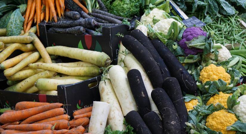 7 januári egészséges élelmiszer, aminek szezonja van