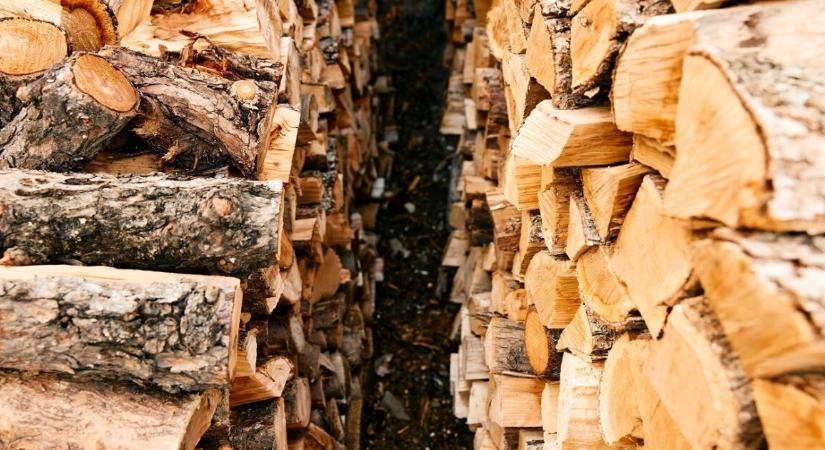 Közleményt adtak ki az ingyenes tűzifákról – így állunk most