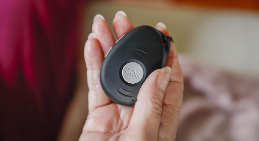 Anna néni „élettársa”