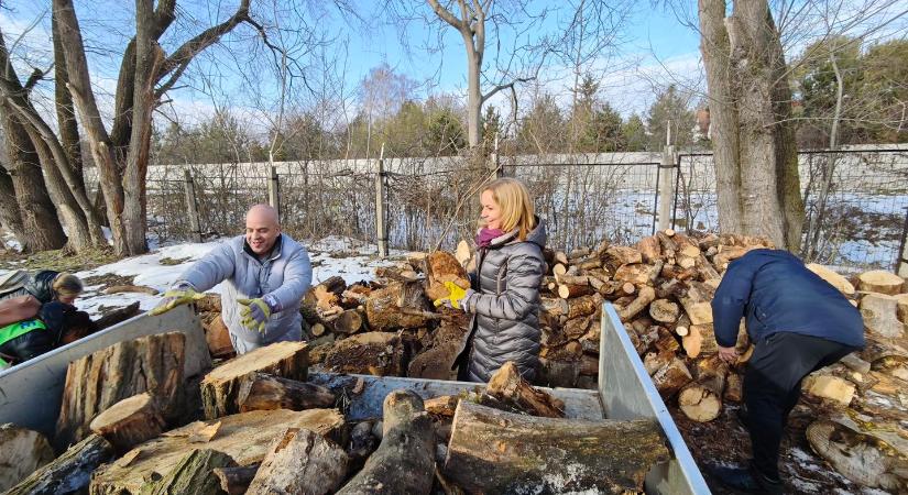 Széles Diána is beállt a fát pakoló politikusok közé