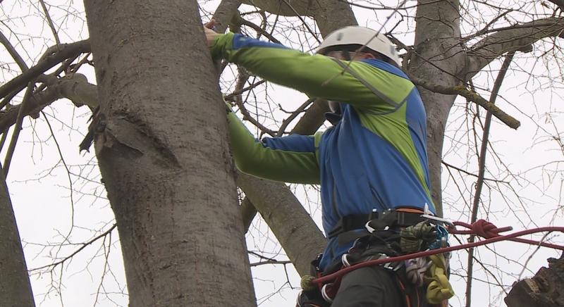 Forgalomkorlátozások a belvárosban