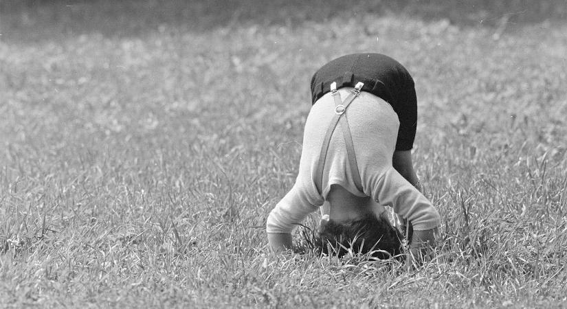 Ross Károly: Bandika nem hülye