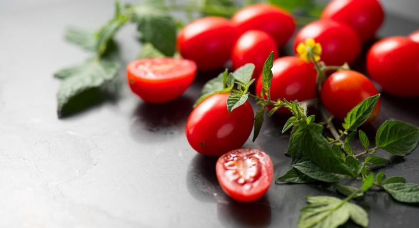 A paradicsom 5 meglepő egészségügyi előnye, amiről jobb tudni
