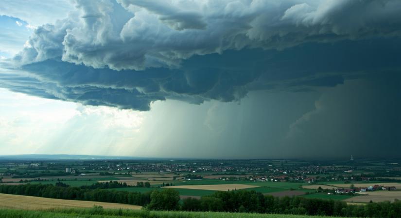 Megkövült levelek mutatnak rá arra, milyen szélsőségek alakíthatják majd az éghajlati rendszert