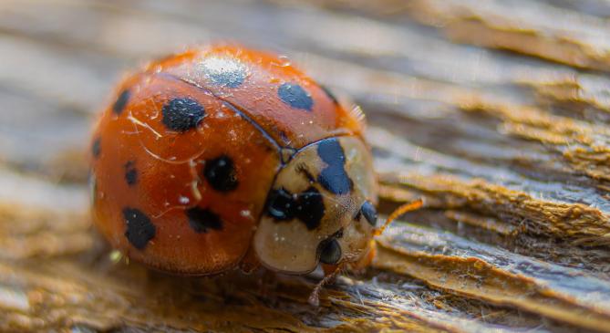 Délnyugaton tavaszias az idő