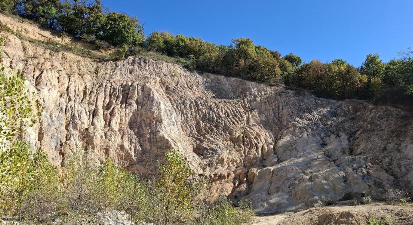 Vitályosnak nem kell az útra feküdnie: nem lesz bánya Csobánkán