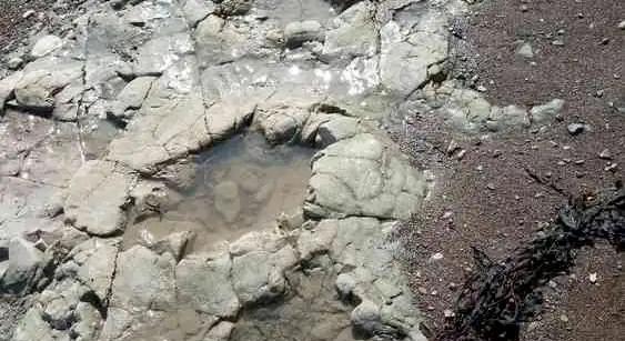 Így maradhatnak fenn a dinoszaurusz-lábnyomok akár 200 millió évig