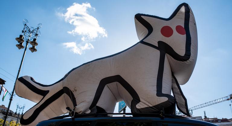 Az MKKP debreceni jelöltje a mentelmi jogért küzd, hogy elkerülje a börtönt