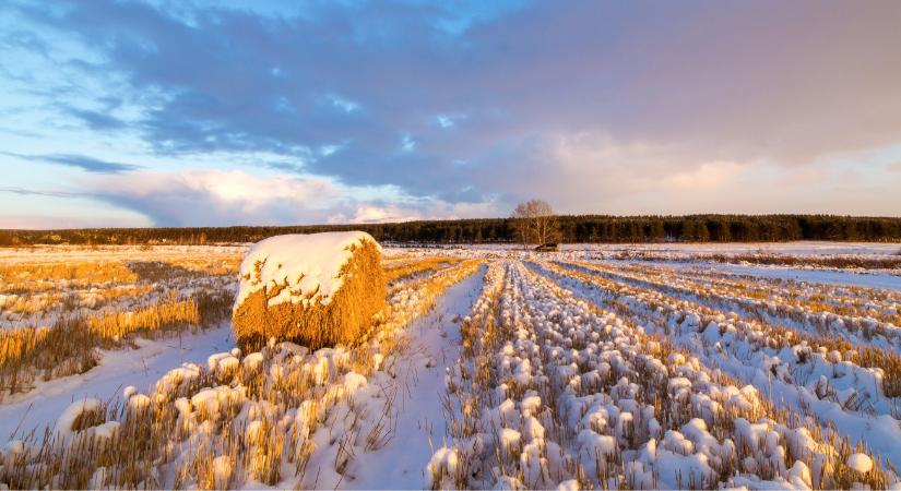 Agrometeorológia: Hoz csapadékot az enyhülés?