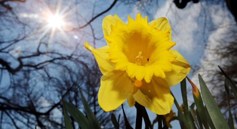 Minden idők legforróbb tavasza jöhet a kemény fagyok után