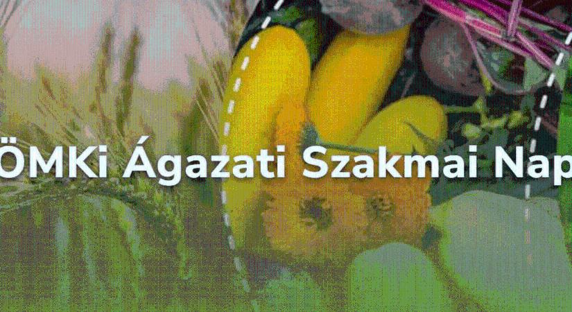 ÖMKi Ágazati Szakmai Nap