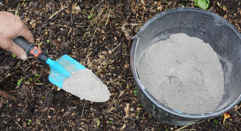 Hamu használata télen a kertben – hova TILOS szórni és miért?