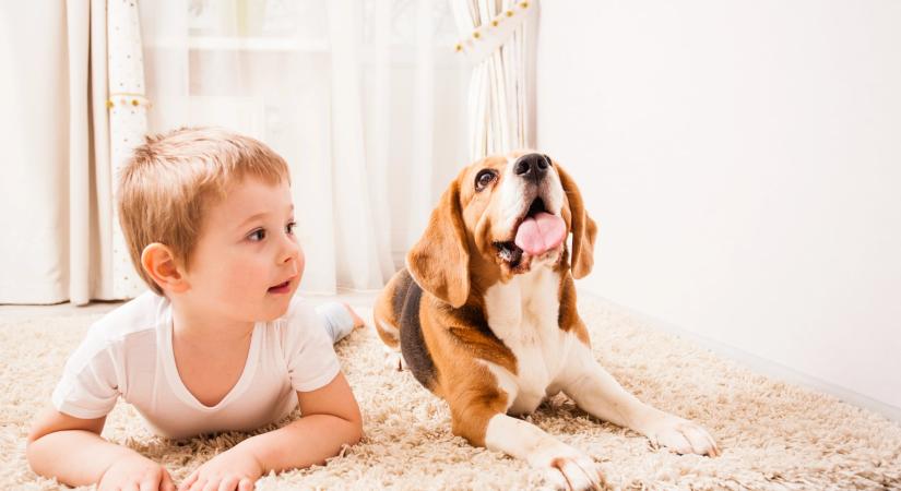A kutya és a gyermek különleges kapcsolata – Ilyen, amikor a háziállat érzelmi támogatást is nyújt