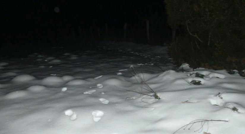 Lábát törte a betörő