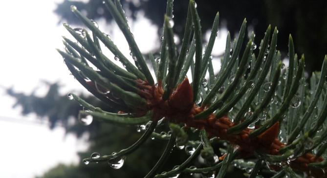 Olvadást és főként esőt hoznak a következő napok