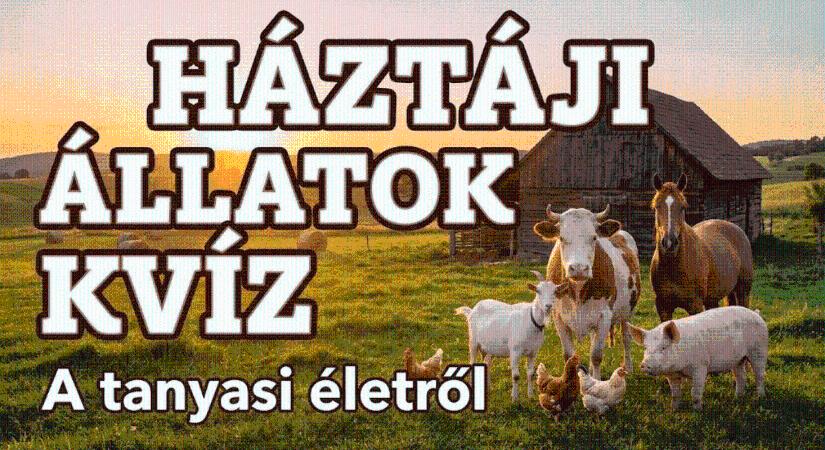 Háztáji állatok kvíz: Teszteld a tudásod a tanyasi világ lakóiról most!