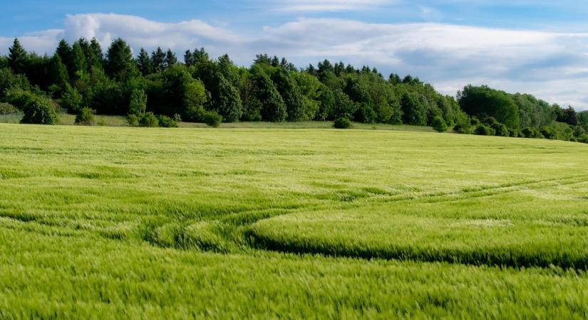 AÖP 2026 – hogyan gondolkodj a vállalásokon, hogy betarthatóak legyenek?