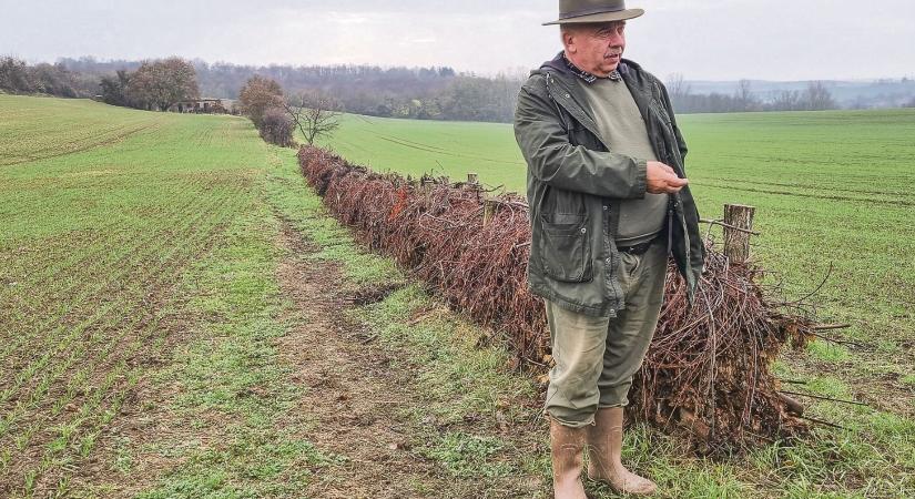 Rendre elvitte a villámárvíz a falut, de mára előnnyé változatták a fenyegetést