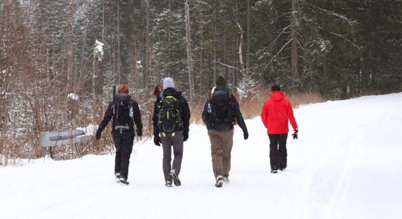 Regionális gyalogló-találkozónak és egészségnapnak ad otthont Nagyatád