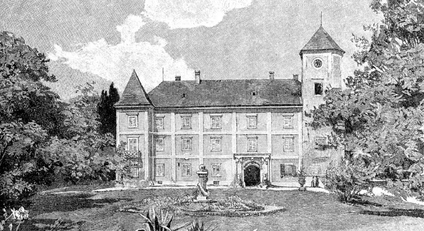 Itt magasodik Magyarország legidősebb fája