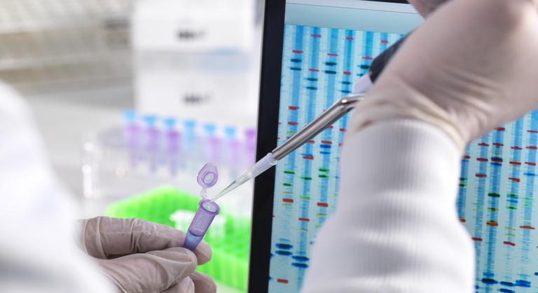 Új génmódosított élelmiszerekkel veszélyeztetné a lakosságot egy EU-s szabályozás