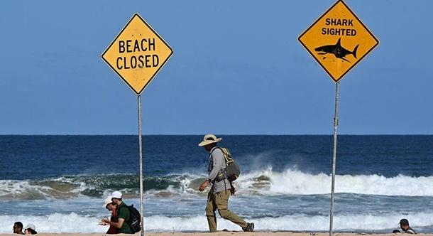 Meghalt egy 12 éves fiú, akit cápatámadás ért Sydney közelében