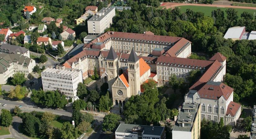 A pécsi cég és a PTE közös útra lép, meglátjuk, mi lesz a végeredmény