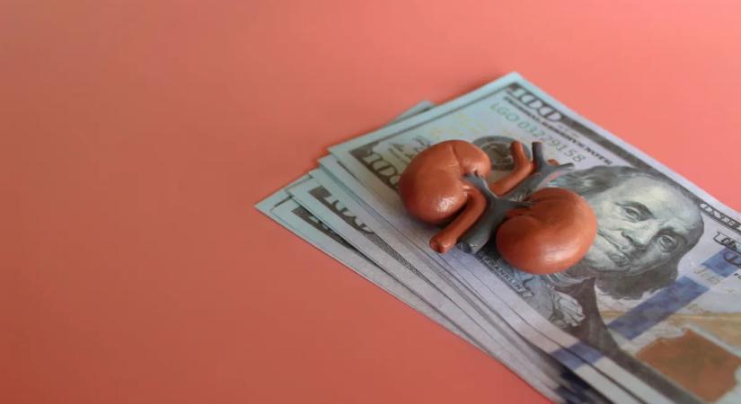 Ennyit kérnek az emberi testrészekért a szervkereskedők