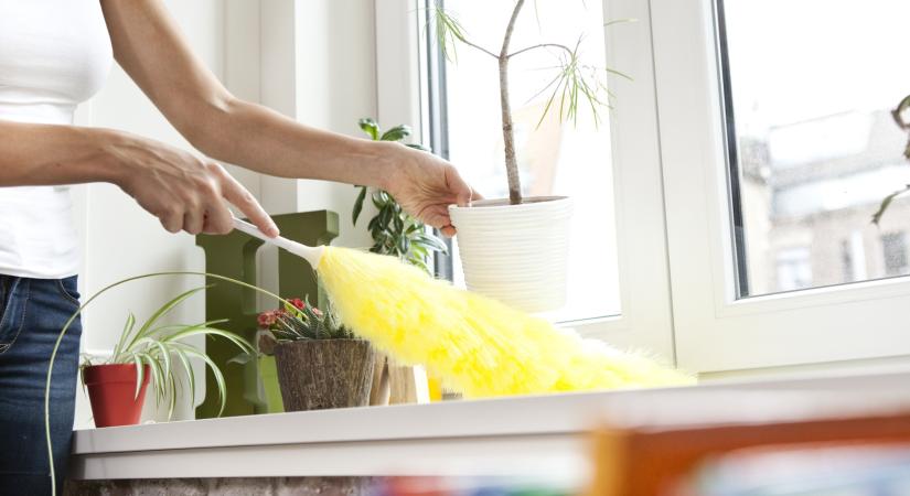 Portörlés: ha így csinálod, hosszú ideig nem száll vissza