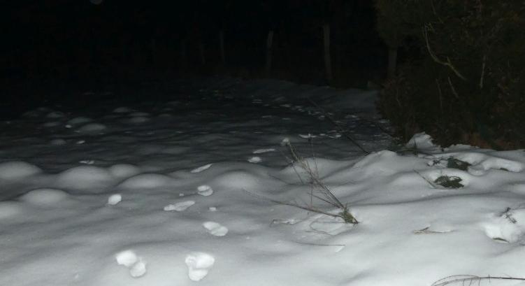 Hiába futott, utolérték – nem volt nehéz kideríteni, hogy merre menekült a zajki rabló