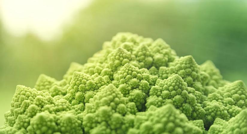 Avas étel káros hatásai egészségünkre és hogyan kerüljük el őket