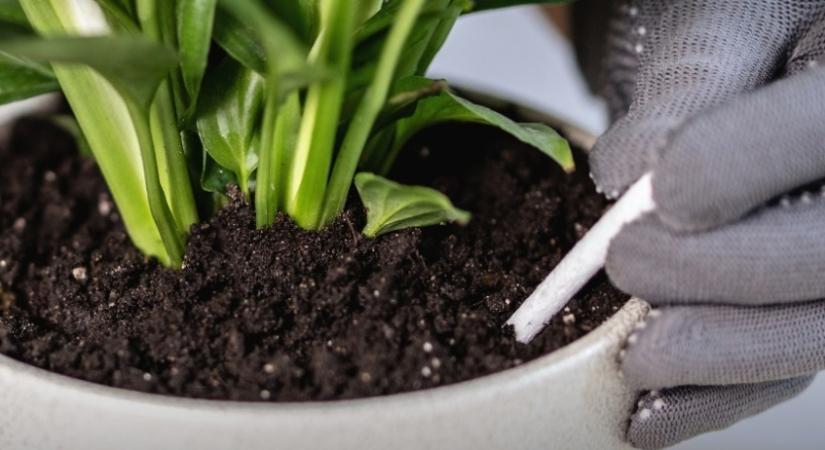 „Vashiányos” termésnövelő is akadt a Szupermenta táprúd tesztjén