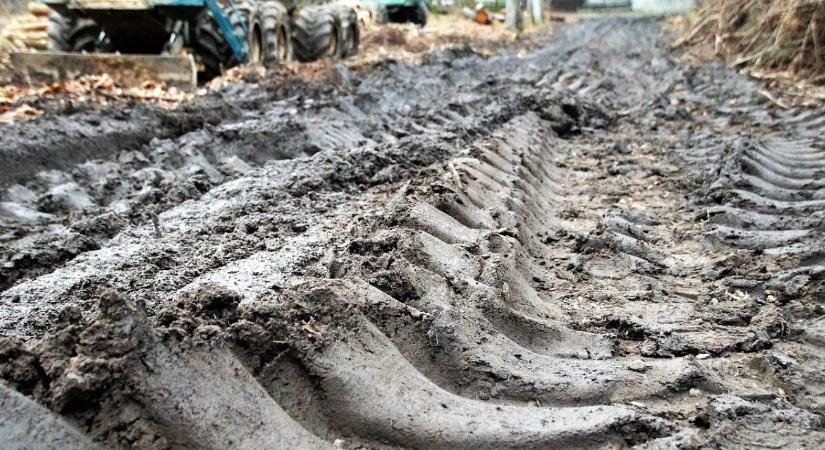 3 napos időjárás-előrejelzés: Vedd elő az esernyőt!