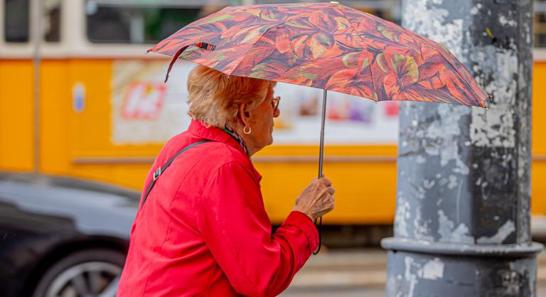 Köd és ónos eső kíséri a hóolvadást, több vármegyére is kiadták a figyelmeztetést