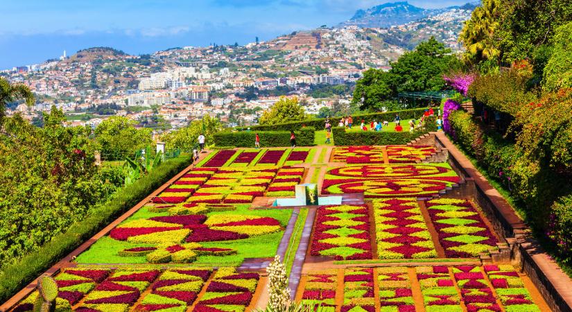 Madeira botanikus kertje