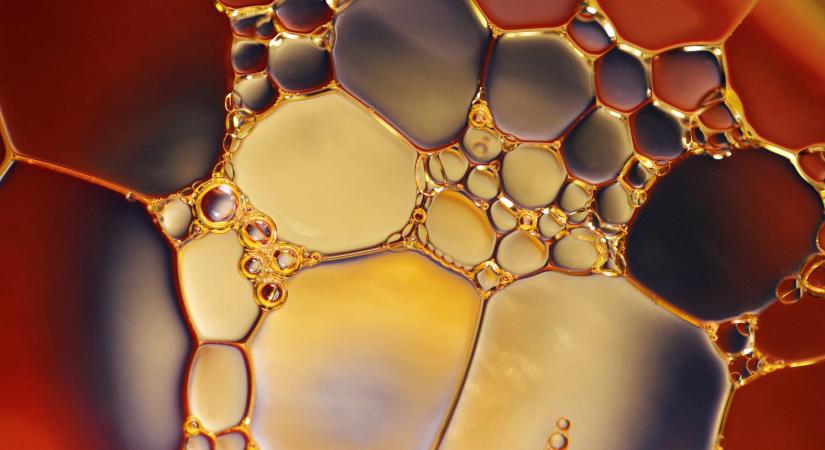 A GVH gyorsított ágazati vizsgálatot indított az étolaj piacon