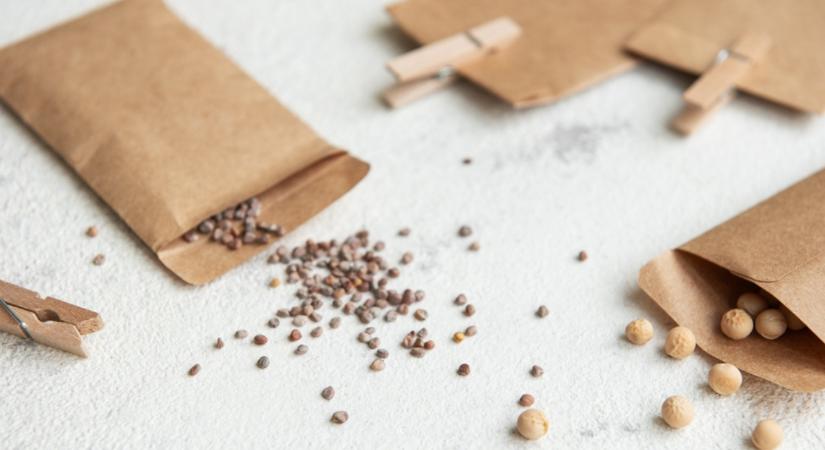 Répa, retek... és még ezek a zöldségek várják, hogy elvesd őket!