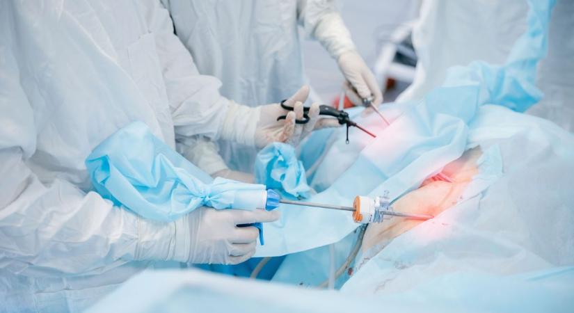 63 élődonoros veseátültetés egy év alatt Magyarországon - Mutatjuk mennyi a várakozási idő