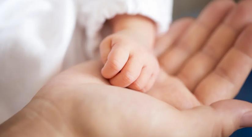 Január végén derül ki, milyen utónevek tűnnek el Magyarországról