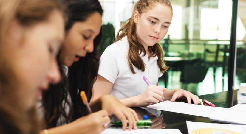 Nem tudod, hogy hol tanulj tovább? Segít dönteni a kamara