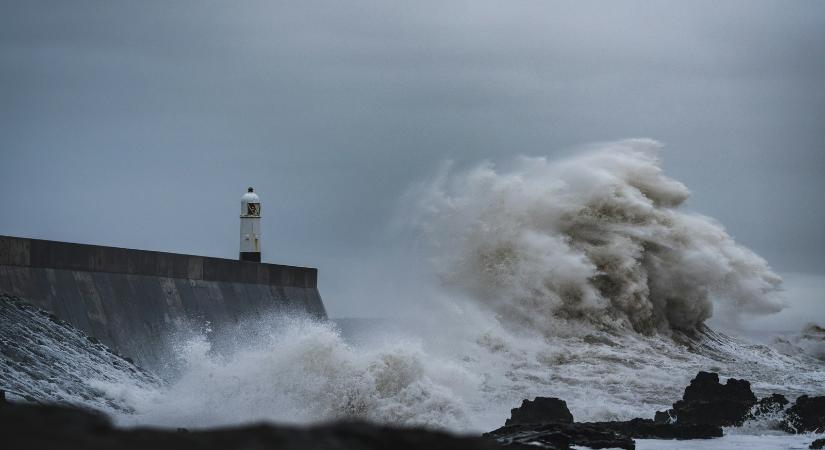 Lukács Flóra verse